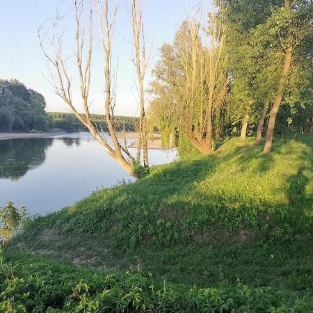 Villa Pertini Appartamento Primo Piano Nel Parco Oglio Sud Canneto sull'Oglio Exterior foto